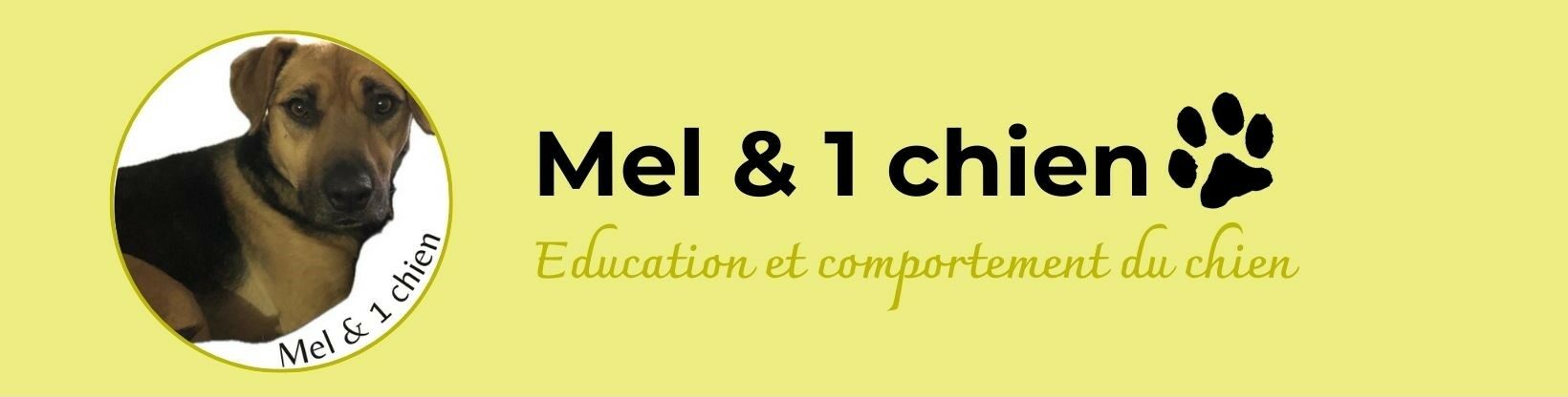  Education canine et comportement du chien – Châteaudun / Vendôme